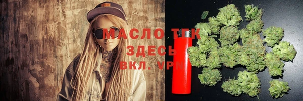 дмт Надым