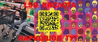 прущие грибы Гатчина