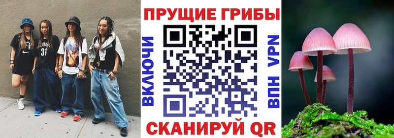 Псилоцибиновые грибы Cubensis  Тосно 