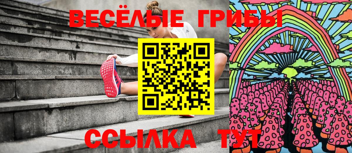Галлюциногенные грибы мицелий  Вход с VPN  Тосно  Псилоцибиновые грибы GOLDEN TEACHER 