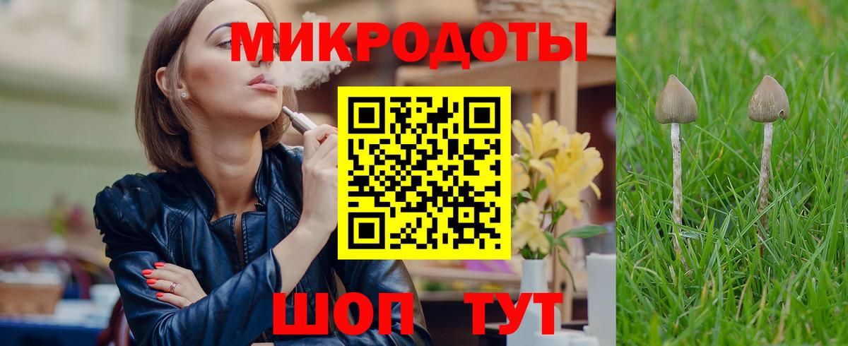 Псилоцибиновые грибы Cubensis Тосно