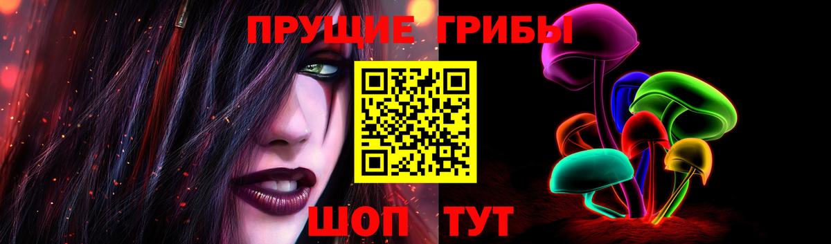 Псилоцибиновые грибы GOLDEN TEACHER  Тосно 